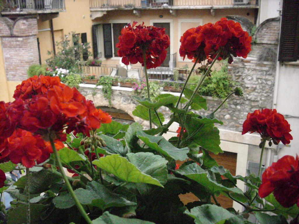 A Casa Di Luca Ξενοδοχείο Βερόνα Εξωτερικό φωτογραφία
