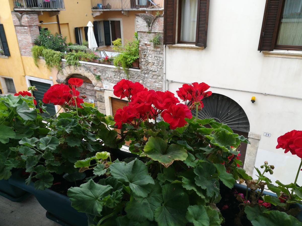 A Casa Di Luca Ξενοδοχείο Βερόνα Εξωτερικό φωτογραφία